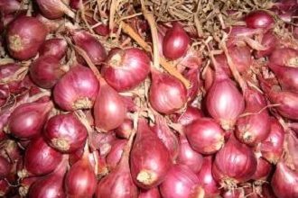 bawang merah