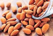kacang almont