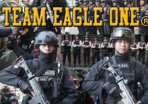 team eagle one