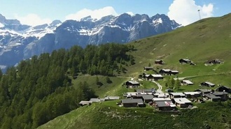 desa swiss