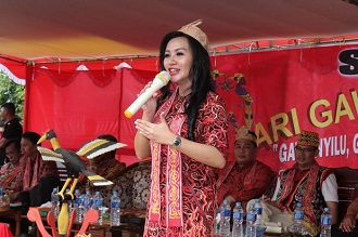 karolin pdip