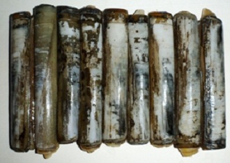 kerang pisau