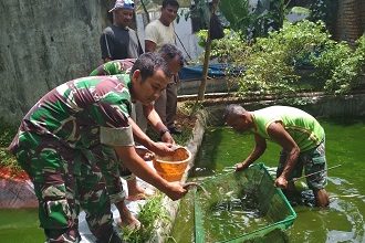 kormil banjar1