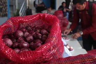 bawang merah palsu