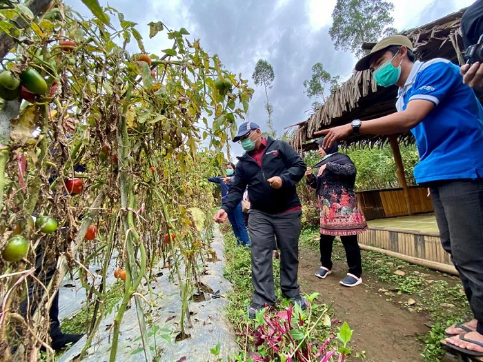 Kemensos RI Dukung Peran Aktif Karang Taruna Berdayakan Masyarakat Kembangkan Agrowisata