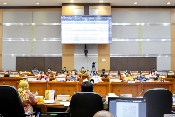 Pembagian Tugas Kelembagaan Dalam RUU Bencana Segera Dibahas Bersama K/L Terkait