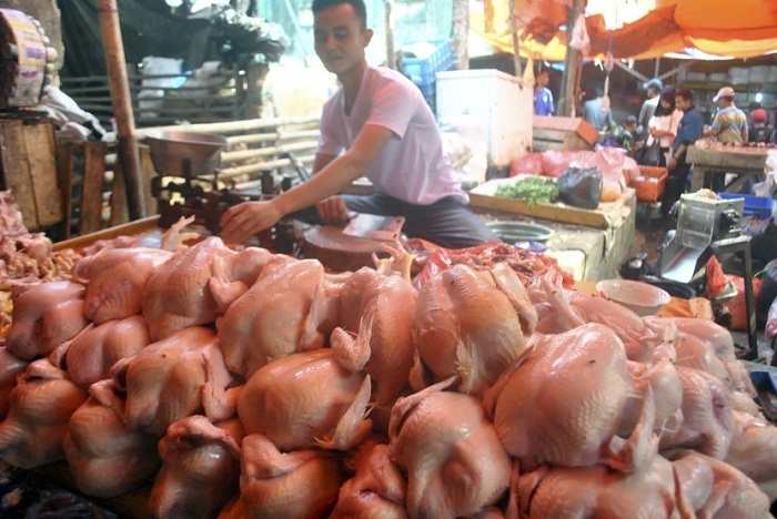 Naik 30 Persen, Harga Daging Ayam di Makassar Jelang Idul Adha