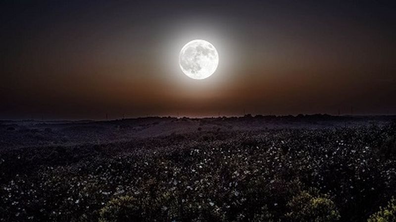 Besok Jumat Dini Hari 12 Agustus Terjadi Supermoon Terakhir di 2022
