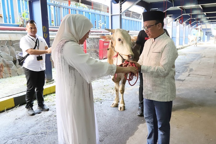 Saksikan Penyembelihan 40 Hewan Kurban, Menaker: Momen Bangkit Bersama dari COVID-19