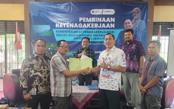 Kemnaker Segera Susun Langkah Atasi Persoalan Buruh Teh di Jawa Tengah