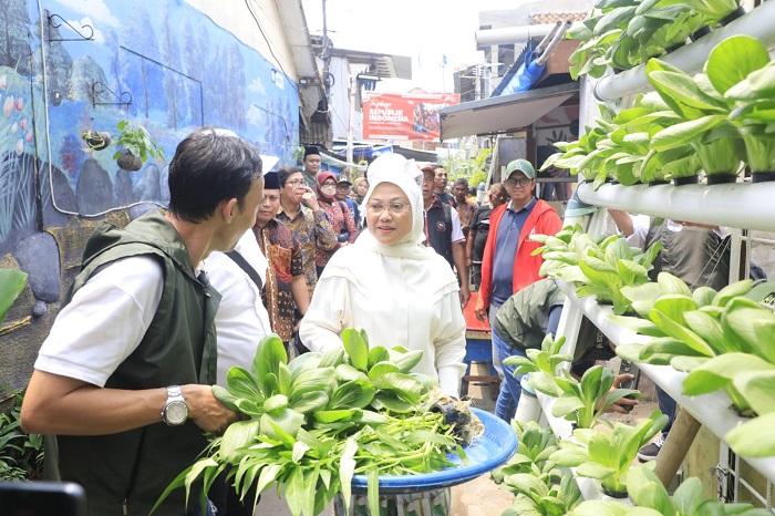 Panen Tanaman hidroponik, Menaker: PBK Berikan Kontribusi Penting bagi Daerah