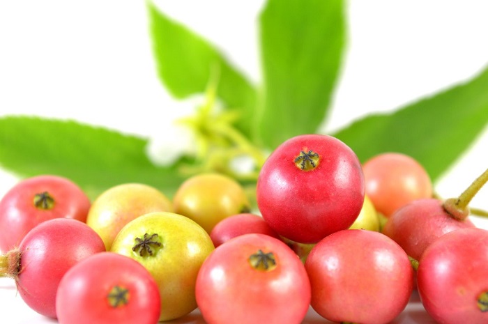 7 Manfaat Kesehatan Buah Ceri Atasi Asam Urat hingga Kanker